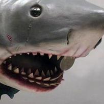 Shark Wall Sculpture 12x9x9cm Resin Wall Mounted Shark Ornament Marine Animal Theme Sculpture Decoration For Hotel Office CN