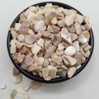 Shell Stone Terrazzo Gravel: Decorative Aggregate for Flooring, Fish Tanks, Landscaping, Crafts, and Artware