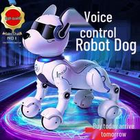 MAILE KID Interactive Smart Robot Toys