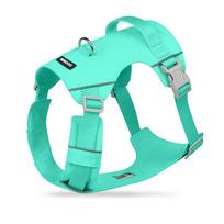 Waterproof Breathable Dog Harness Lightweight Comfortable Adjustable Escape-Proof Vest for Large Dogs Labrador Golden Retriever (Green,XS) žalia