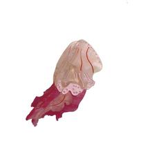 Ocean Series Jellyfish Hair Claw Animal Large Shark Clip Temperament Hair Grab Clip  Female Style A