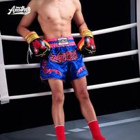 Blue pink Muay Thai pants, martial arts Sanda fighting pants, boxing professional match shorts XS