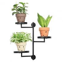 Wall-mounted Plant Display Indoor Plant Hanger Metal Rotating Plant Shelf Wall Mount Display Stand for Indoor Outdoor Home juoda