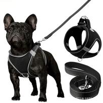Reflective Step-in Dog Harness & Leather Set - Soft Mesh Vest for Small to Medium Dogs