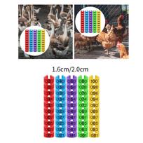 100 Pieces Chicken Leg Rings Poultry Foot Rings for Goose Pigeon Bantam S gray