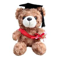 Personalizuota baigimo meškiuko lėlė 2026 jai Minkštas pliušinis Teddy su siuvinėta suknute 25 cm G