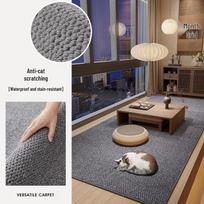 Durable Pineapple Loop Bay Window Mat: Dirt-Resistant, Cat Claw Resistant, Easy-Care Solid Color Carpet for Living Room or Bedroom 40x60 cm