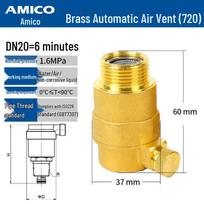 AMICO 720 Brass Automatic Air Vent Valve with Filter