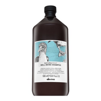 Šampūnas Davines Naturaltech Well Being, 1000 ml