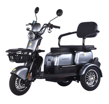 Elektrinis triratis RIDE-E AMBER (EEC) 1000W 20Ah 