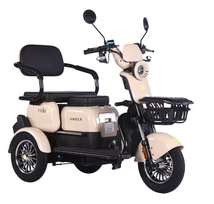 Elektrinis triratis RIDE-E AMBER (EEC) 1000W 20Ah 