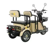Elektrinis triratis RIDE-E MINGO (EEC) 1000W 26Ah