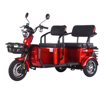 Elektrinis triratis RIDE-E LARGO (EEC) su galine sėdyne/krovinių vieta 1000W 32Ah