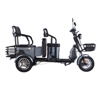 Elektrinis triratis RIDE-E LARGO (EEC) su galine sėdyne/krovinių vieta 1000W 32Ah