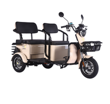 Elektrinis triratis RIDE-E LARGO (EEC) su galine sėdyne/krovinių vieta 1000W 32Ah