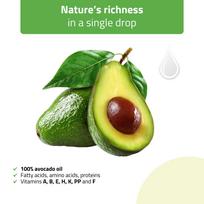 Avokadų masažo aliejus HABYS Nature Rich Avocado, 100 ml
