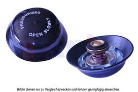 AKS DASIS Radiatoriaus dangtelis 750148N