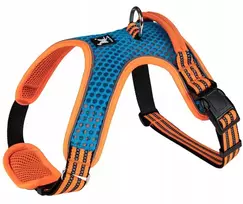 Barry King šuns petnešos, mėlynos ir oranžinės spalvos, su šviesą atspindinčiomis detalėmis, S dydis, kaklo apimtis 38–49 cm / krūtinės apimtis 41–63 cm