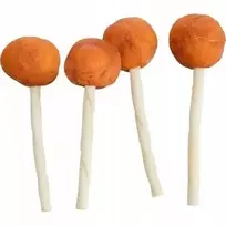 Trixie PREMIO saldainiai šunims su menke, palaidi, 9 cm/15 g, 60 vnt./pak.