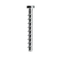 Eurotec - Betonsraigtis šešiakampe galva 10.5 mm (140 mm, 100 vnt) EUROTEC-HEX-10.5-100-140