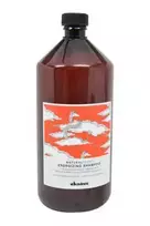 Davines Natural Tech Energizing Shampoo 1000 ml