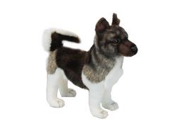 BH6143 HANSA Akita Ken 28