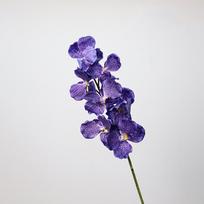 80 CM Artificial Vanda Orchid Plastic Large Flower Phalaenopsis Branch Floral Arrangements Moisturizing Real Touch Orchids
