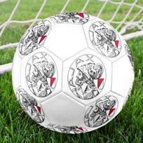 AFC Ajax Amsterdam size5 Soccer Ball, colorful, suitable for all ages, machine-stitched, PVC material, competition grade,durable and high bounce