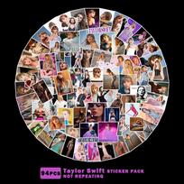 Taylor Swift Large Head Stickers - 94 DIY Decorative Journal Sheets (Mei Mei Nickname Included) - In Stock white