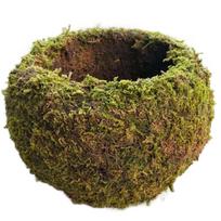 Samaninis rutulinis vazonas Kokedama sodininkystei Lauko ir vidaus eksponavimui Natūralus samaninis puodas Skersmuo 15 cm Vidinis skersmuo 8 cm One Size