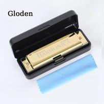 Ten-hole Harmonica Metal Harmonica Beginner Student Children Men and Women Self-study Introductory Harmonica Instrument