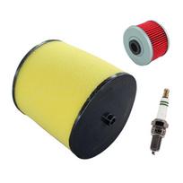 Oro filtro serviso rinkinys TRX250X Atsparumas dilimui 250 TRX250TM