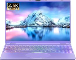 Laptop Office Intel Celeron N95 CPU IPS LCD Resolution 16GB DDR4 Memory Face Recognition Fully Functional Laptop with No Setup Required 16GB 256GB violetinė