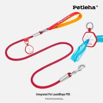 Comfort Grip Dog Leash - No Choke Design for Small, Medium & Large Dogs 6S (6mm thick, 130cm long)