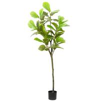 Dirbtinis fikusas žalios spalvos 165cm 48 lapai
