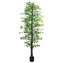 Dirbtinis fikuso augalas žalios spalvos 300cm 2016 lapai