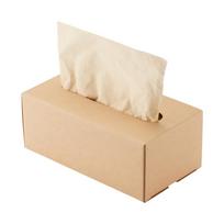 MUJI Kraft Tissue Pack Tissue MAA30A2A Box/Soft