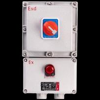 Ganni Explosion-Proof Circuit Breaker Distribution Box 335mm with Leakage Protection