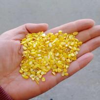 100g Colored Shell Gravel for DIY Crafts