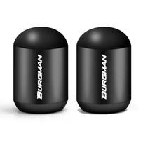 AAGJ1 2pcs for Suzuki BURGMAN 650 400 125 200 250 AN650 AN400 AN125 AN200 Universal Motorcycle Wheel Tire Rim Valve Stem Caps Covers