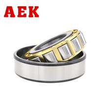 AEK Cylindrical Roller Bearing