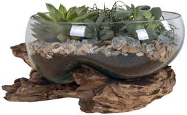 Dekoratyvinis dubuo House Nordic San Marino 4501054, 26 cm x 26 cm