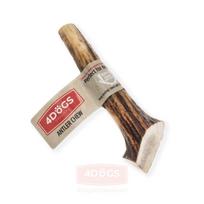 4DOGS Deer Antler elnio rago kramtalas šunims, XXL
