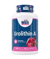 HAYA LABS Urolithin A - 60 kaps.