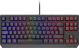 "Genesis Thor 230 TKL" mechaninė žaidimų klaviatūra, "Hot-Swap", RGB "Prismo" efektas, be klavišų, dvigubo šūvio klavišų gaubteliai, "N-Key Rollover", "Anti-Ghosting", triukšmo izoliacija, USB, suderinama su PC, PS5, PS4, Xbox