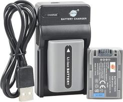(2 vnt.) DSTE NP-FP50 ličio jonų akumuliatorius + Micro USB įkroviklis, tinkantis "Sony" DCR-DVD103, DCR-DVD105, DCR-DVD203, DCR-DVD205, DCR-DVD305, DCR-DVD92, DCR-HC20