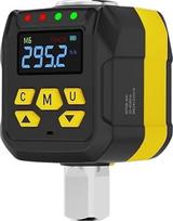 1/2-Zoll-Digital-Drehmomentadapter, 15 bis 295 FtLb mit Summer-LED und Konverter sowie 1/4-Zoll- und 38-Adapter for die Wartung von Schwerlastfahrzeugen Umrechnung mehrerer Einheiten