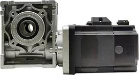 314 W bürstenloser Gleichstrommotor mit Schneckengetriebe und Bremse, 48 V, 5:1/7,5:1/10:1/15:1/20:1/30:1/40:1/50:1/80:1/100:1, BLDC-Reduzierer (Verhältnis 40 to 1, dvigubas išėjimo velenas)