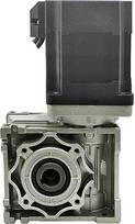 48 V NEMA565W, Feinschraubreduzierer 5:1/7,5:1/10:1/15:1/20:1/30:1/40:1/50:1/80:1/100:1(5:1, DUAL OUTPUT SHAFT-48V)