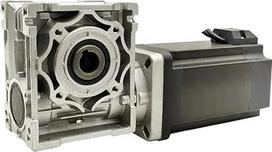 BLDC variklis su Schneckenreduzierer, 785W, 48V/310V, Gleichstrommotor, 100:1/80:1/50:1/40:1/20:1/15:1/10:1/7,5:1/5:1 Verhältnis 80 to 1,DUAL OUT, SHAFT-488 V)